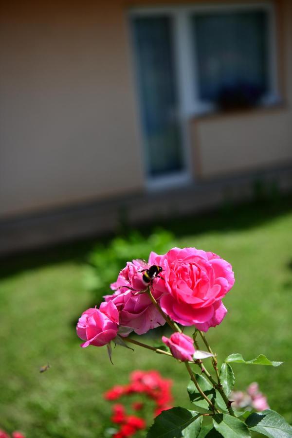 Apartman Dorijan Rakovica Exterior foto